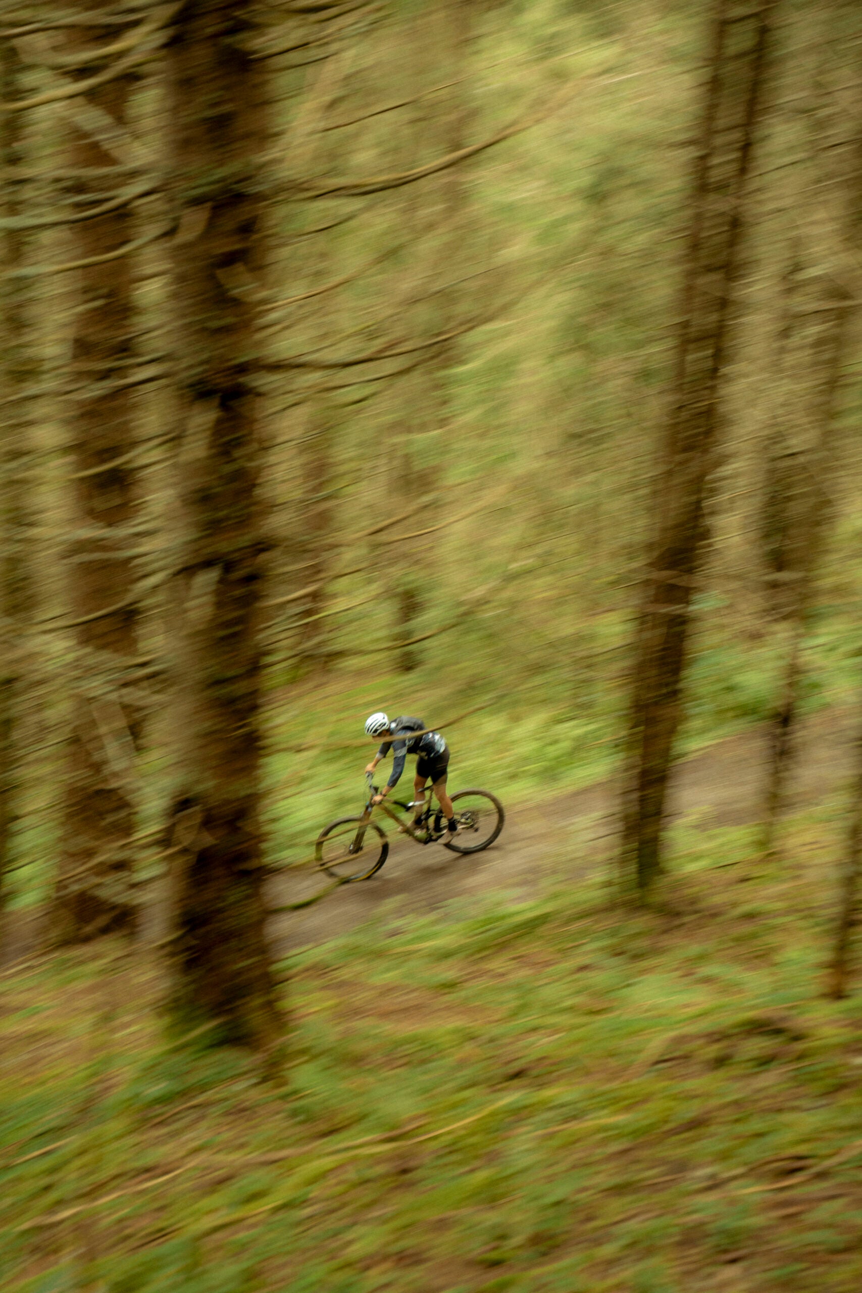 MTB-Trails – Teil 2: Einmalige Touren zum Großen Feldberg für jedes Level