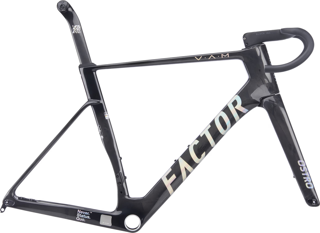 Factor Ostro VAM Frameset gloss raw carbon black