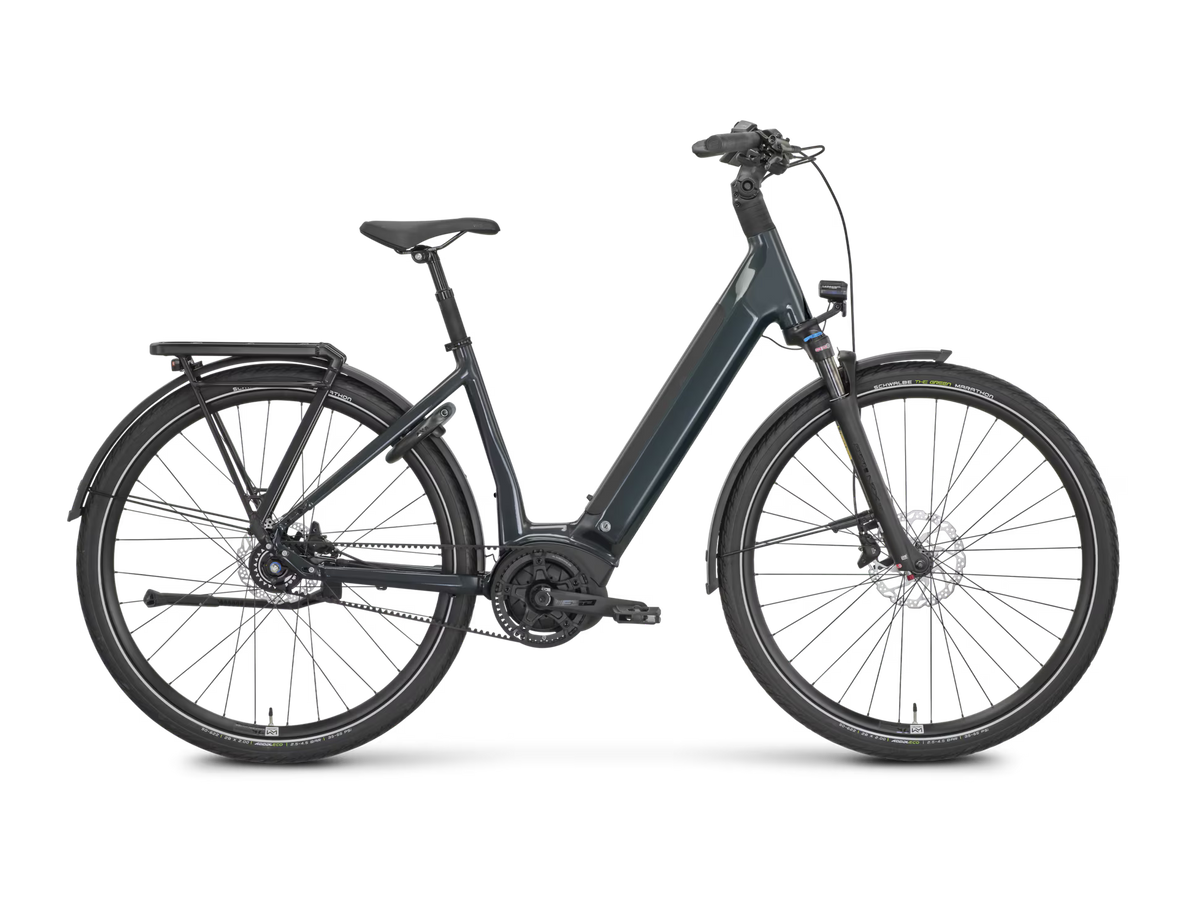 ROSE xtra Watt Plus slate (Testbikes)