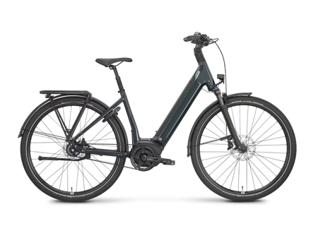 ROSE xtra Watt Plus slate (Testbikes)