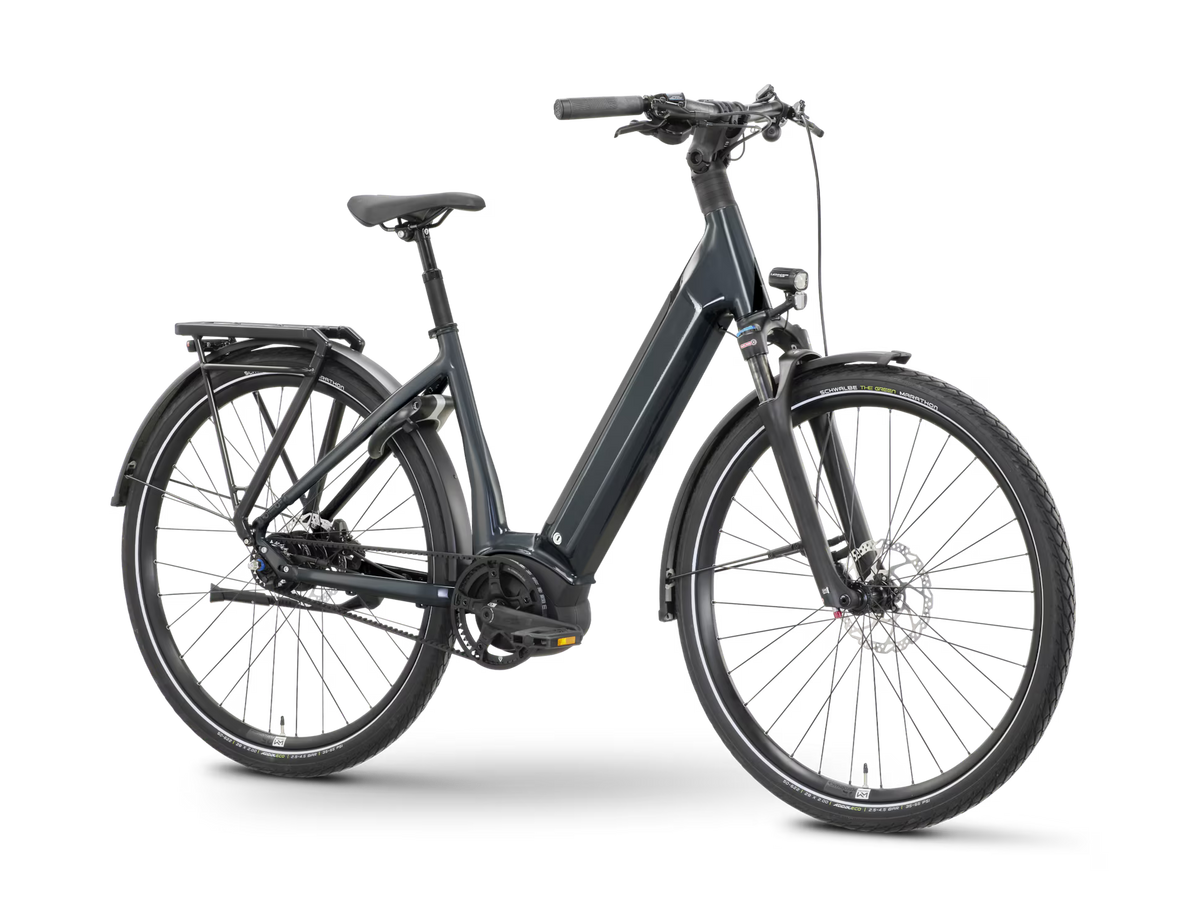 ROSE xtra Watt Plus slate (Testbikes)