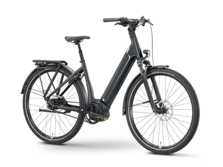 ROSE xtra Watt Plus slate (Testbikes)