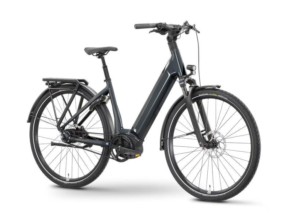 ROSE xtra Watt Plus slate (Testbikes)