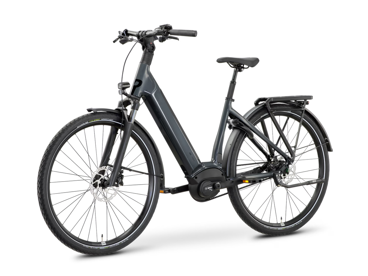 ROSE xtra Watt Plus slate (Testbikes)