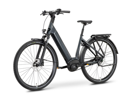 ROSE xtra Watt Plus slate (Testbikes)