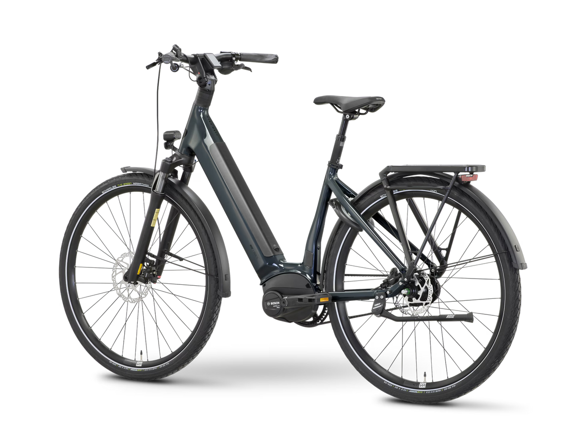 ROSE xtra Watt Plus slate (Testbikes)