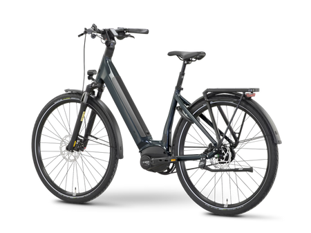 ROSE xtra Watt Plus slate (Testbikes)