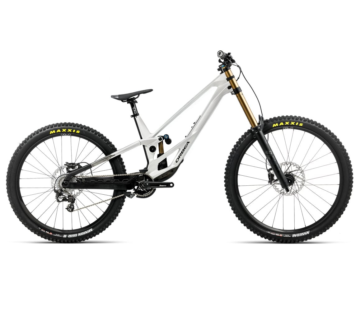ORBEA RALLON 450 DH-LTD Custom