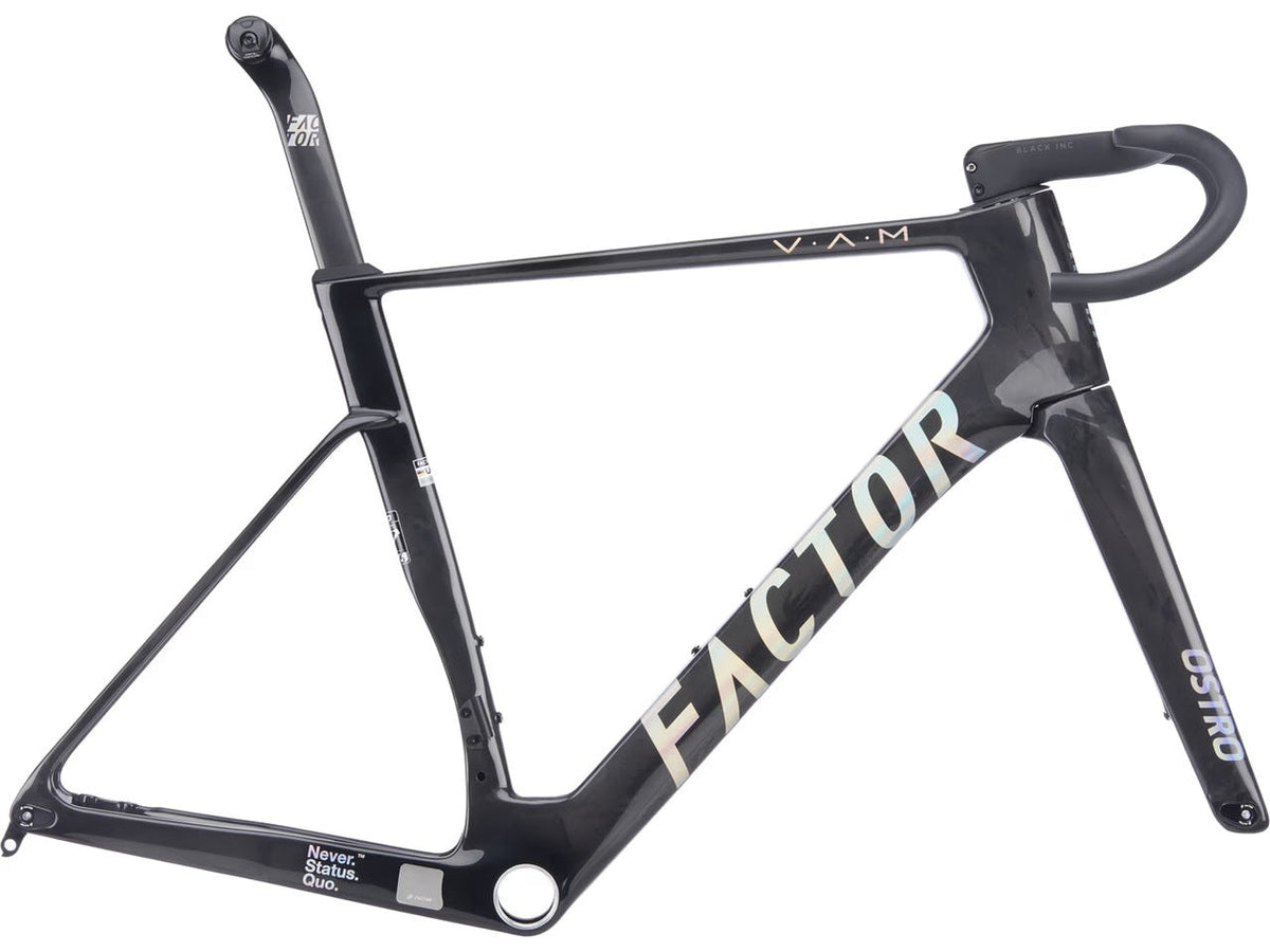Factor Ostro VAM Frameset gloss raw carbon black