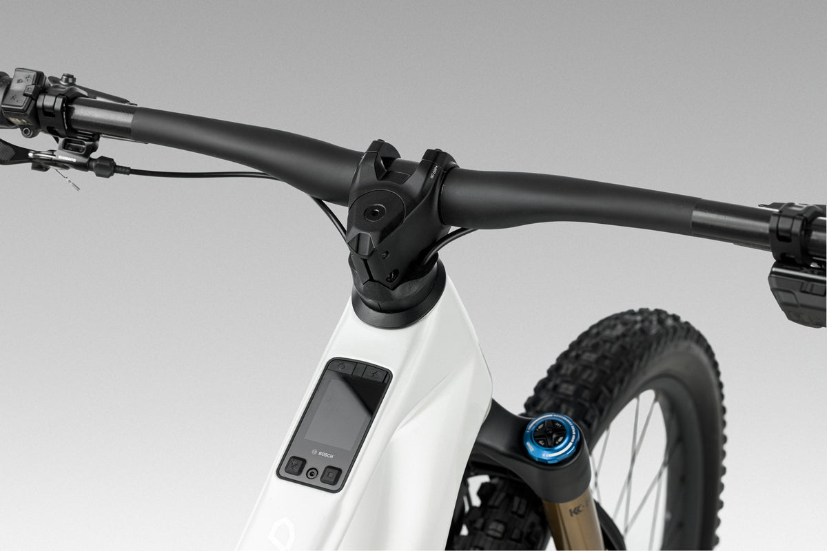 Orbea Wild Oberrohr mit Display