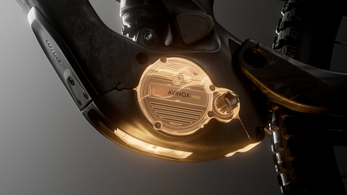 Avinox M2S Motor mit RS-Tuning