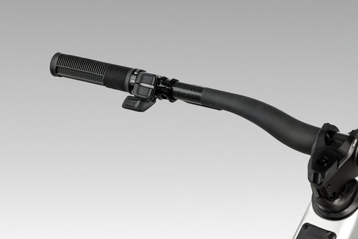 Orbea Wild LT Cockpit mit RS-HMI