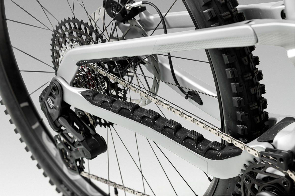 Orbea Wild LT Kettenstrebe und Antrieb