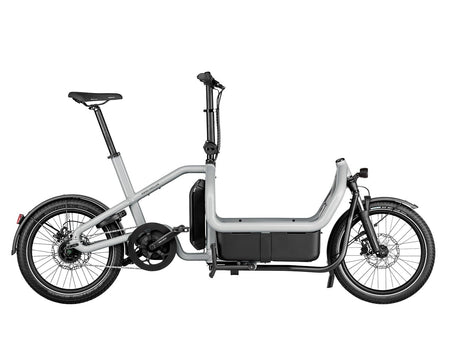 Riese & Müller Carrie city - universal