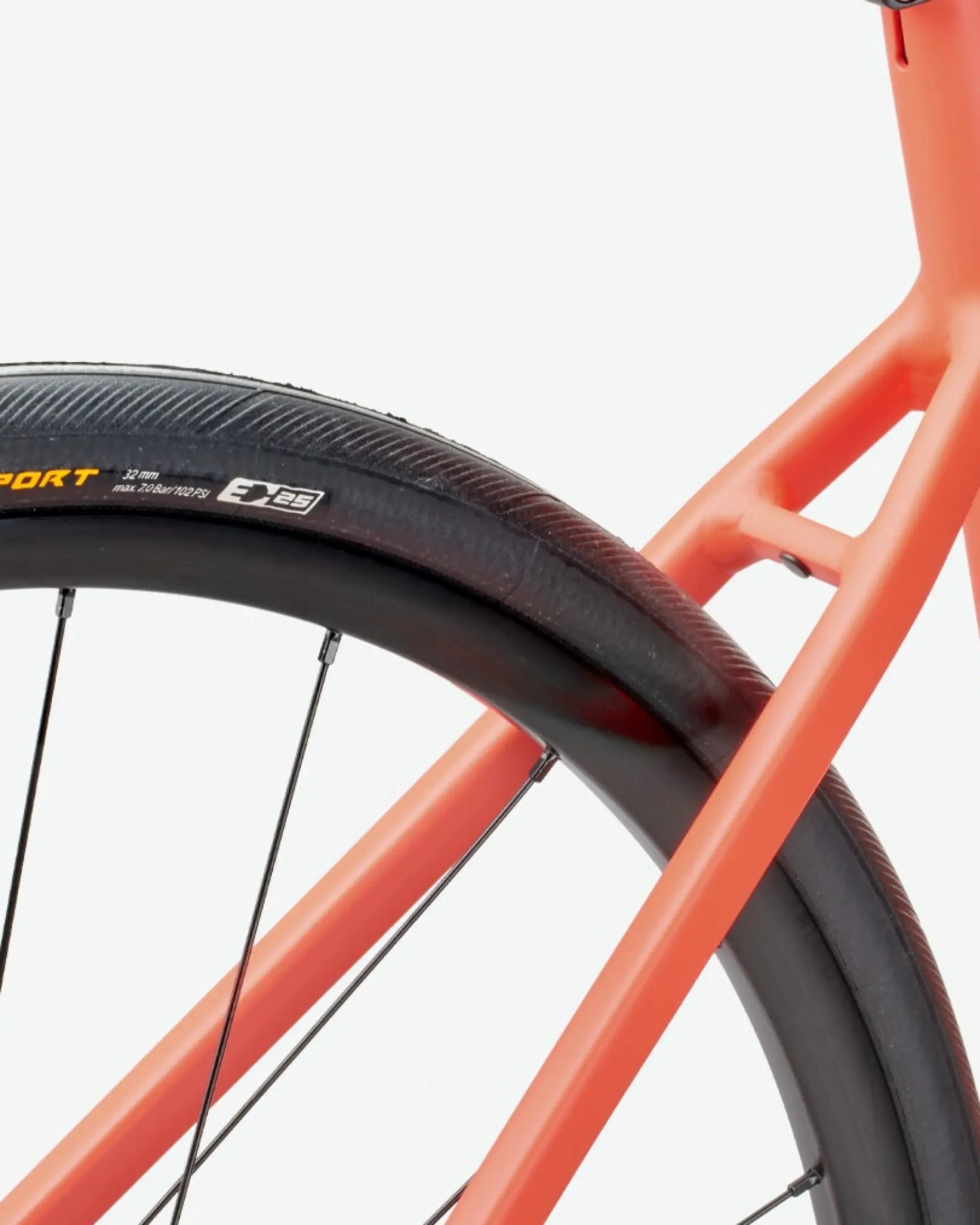 rose rennrad rot Rose Blend Road matt black (TESTBIKE)